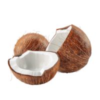 Coconut